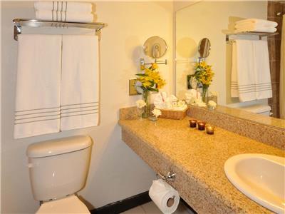 Hotel Mision Express Mcallen