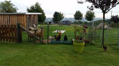 Apartamento Burgseehof Residence De Vacances