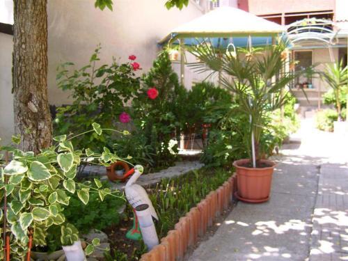 Hostal Guest House Villa Yavorov 2