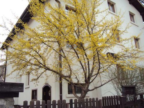 Hostal Guest House Sema
