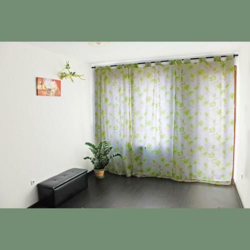 Flora Apartment Centrum