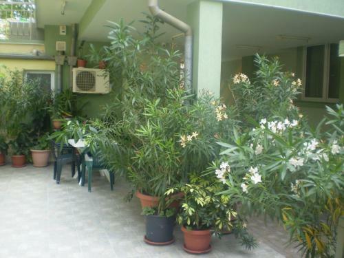 Hostal Guest House Ekaterina