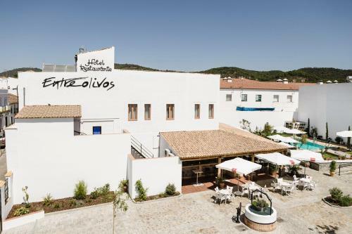 Hotel Entreolivos