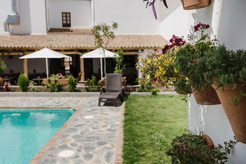Hotel Entreolivos