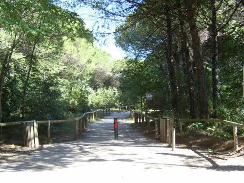 Apartment In Eraclea Mare 25694