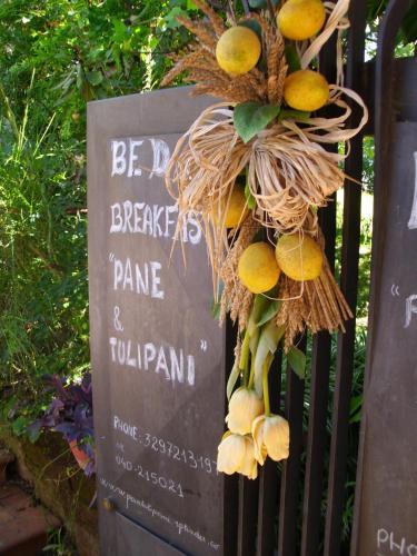 B&B Pane & Tulipani