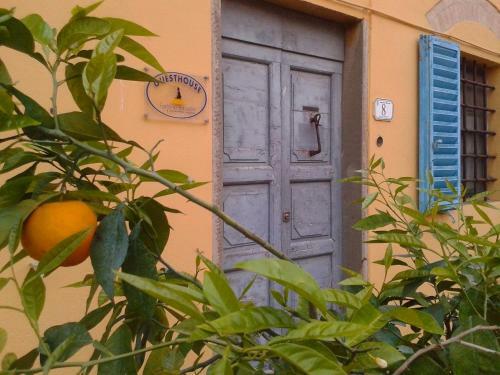 Hostal Bassetto Guesthouse