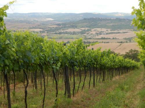 Agroturismo Piane Del Bagno
