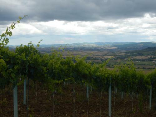 Agroturismo Piane Del Bagno
