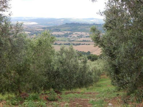 Agroturismo Piane Del Bagno