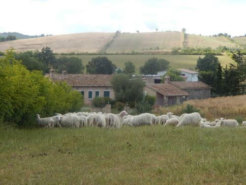 Agroturismo Piane Del Bagno