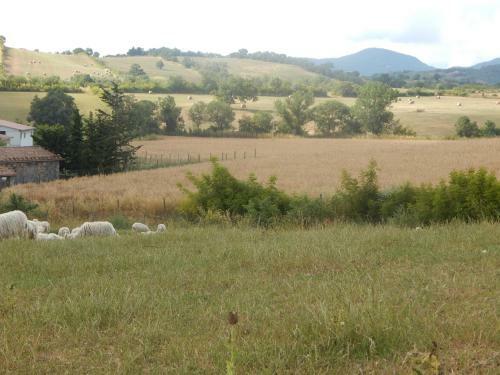 Agroturismo Piane Del Bagno