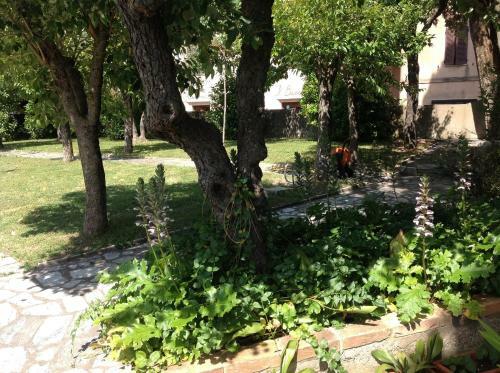 Agroturismo La Romita Agriturismo