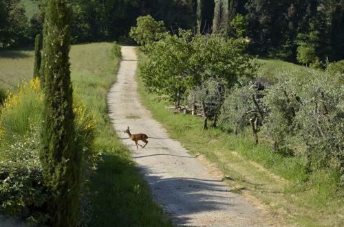 Agroturismo Agriturismo La Prodaia