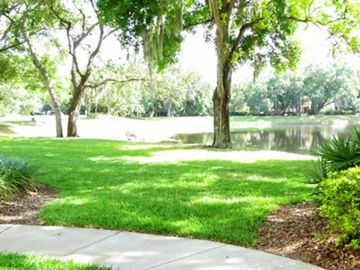 Hotel Holiday Inn Express Tampa/brandon