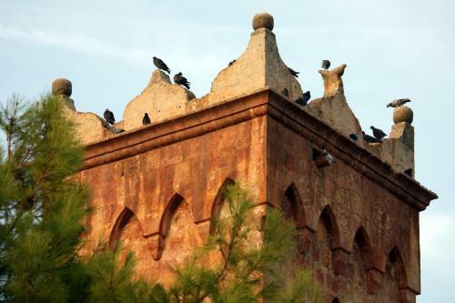 Agroturismo Masseria Incantalupi
