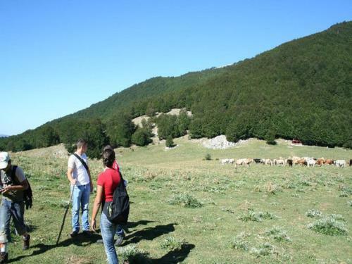 B&B Sole Del Pollino