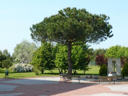 Hotel Casa Per Ferie Maria Assunta