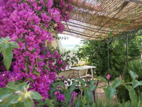 Agroturismo Agriturismo Ss Annunziata