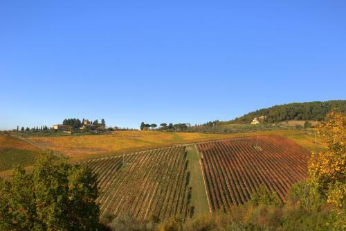 Agroturismo Fonte De' Medici