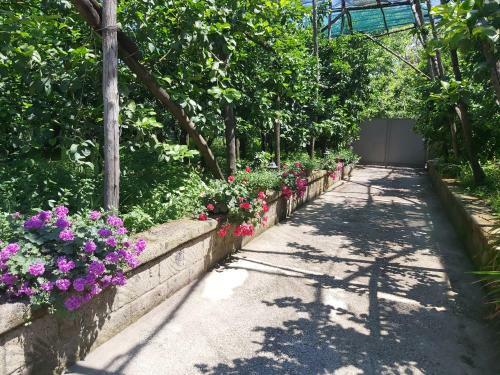 Bed & Breakfast Sos�