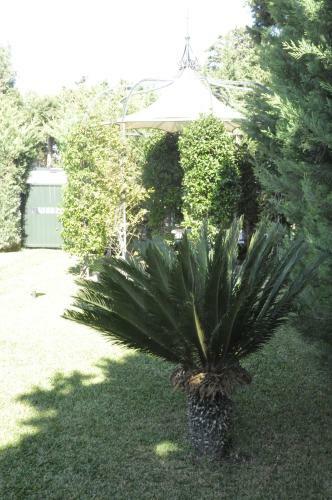 Residence Mare E Limoni