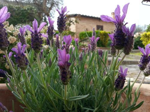 Apartamento Residence Le Meridiane