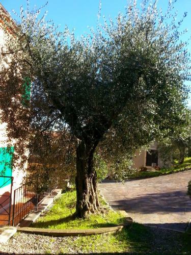 Apartamento Residence Le Meridiane