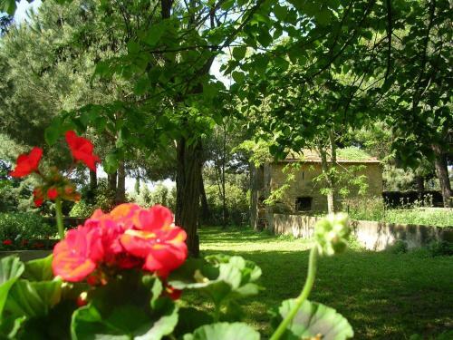 Agroturismo Agriturismo Il Piaggione