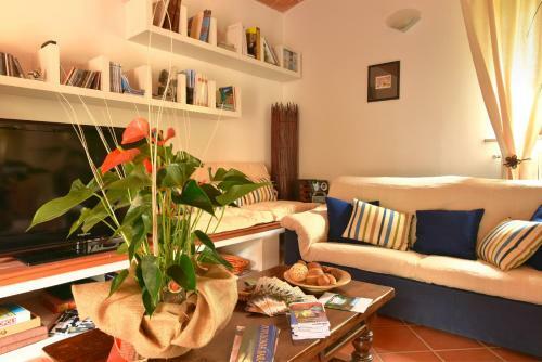 Agroturismo Agriturismo Il Piaggione
