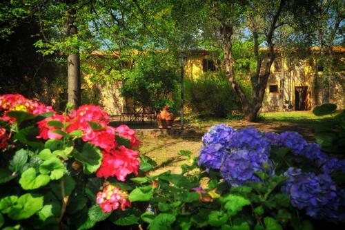 Agroturismo Agriturismo Il Piaggione