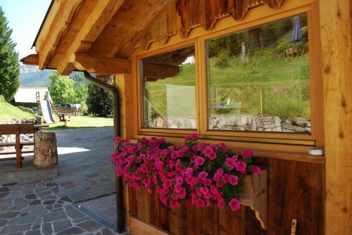 Apartamento Chalet Orchidea