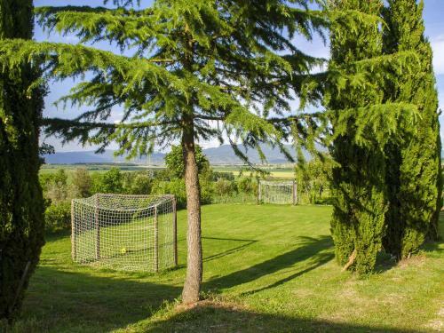 Apartamento Agriturismo Foiano Allodola