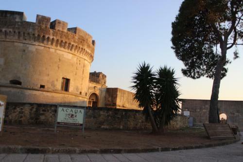 Apartamento Casa Assuntina