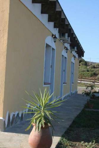 Agroturismo Agriturismo La Tankitta