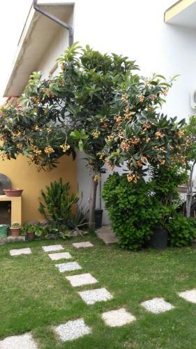 Apartment Zagara Sardegna