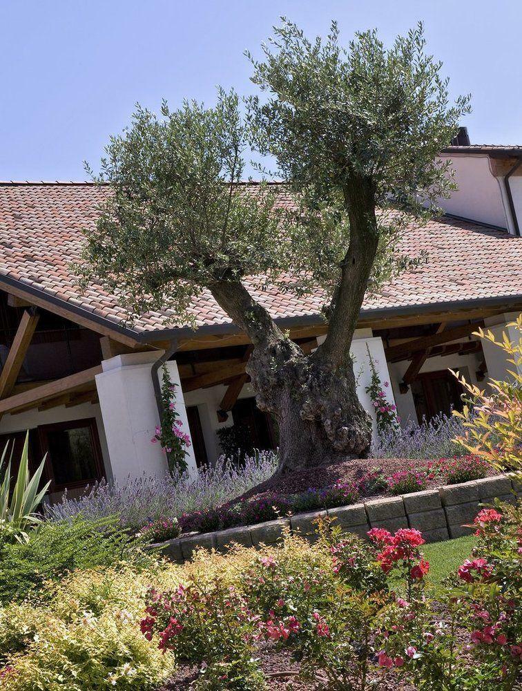 Annia Park Hotel Venice Airport