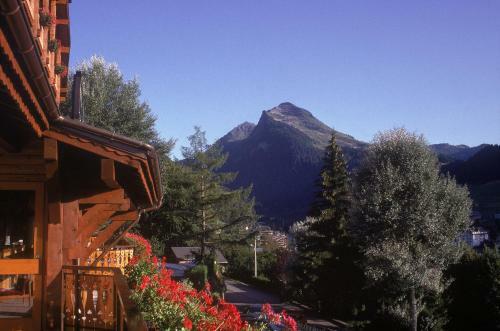 Le Dahu Hotel-chalet De Tradition