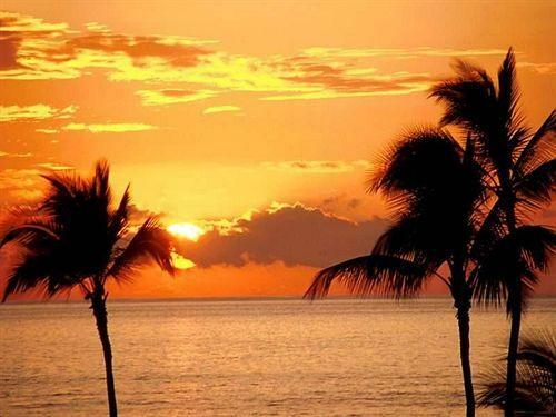Hotel Pelican Cove Resort Marina