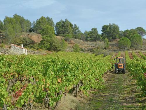 Holiday Home F�lines-minervois