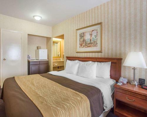 Hotel Comfort Inn Toronto Airport