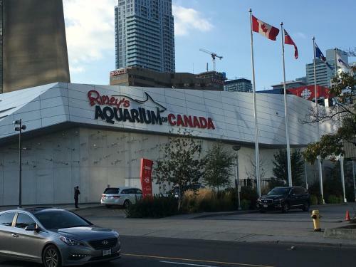 Maple Leaf Square Toronto Down Town Apartment