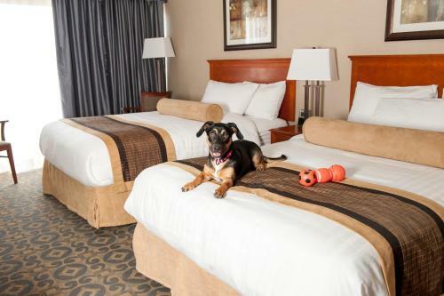 Best Western Brantford Hotel And Conference Centre