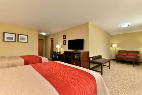 Hotel Comfort Inn And Suites Manheim