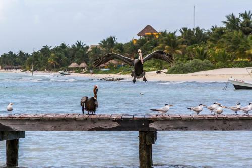 Hotel Cielo Maya Beach Tulum