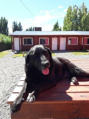 Apartamento Departamentos En Calafate