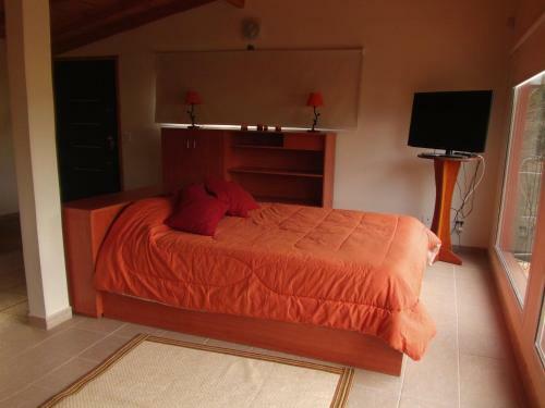 Lodge Cocos Cura Caba�as