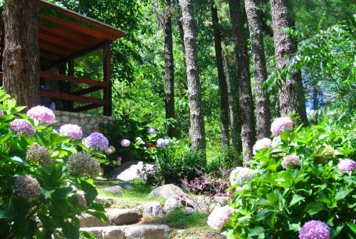 Lodge Las Nubes Caba�as & Loft