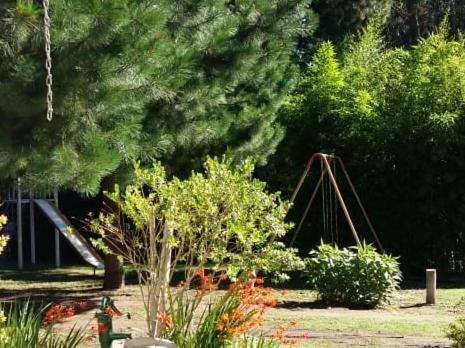 Lodge Montebello Caba�as