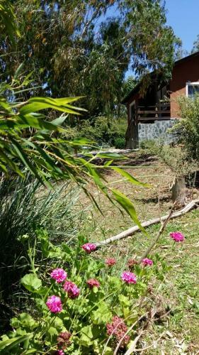 Lodge Montebello Caba�as
